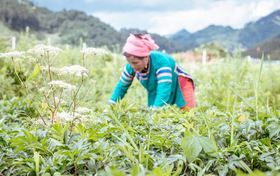 vốn ngoại đầu tư mạnh vào ngành dược